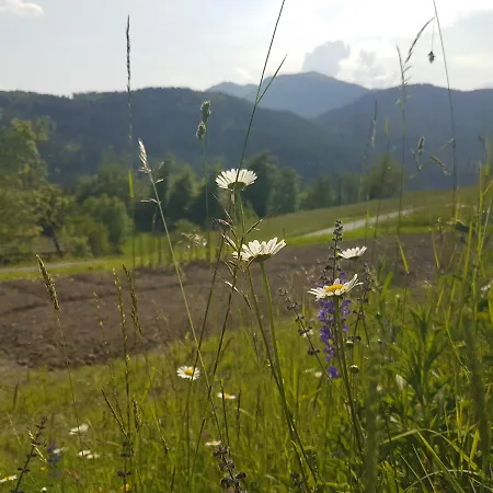 Miklavzeva Hisa With A Bread Oven