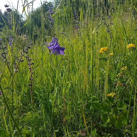 Vikendica Miklavzeva Hisa With A Bread Oven *