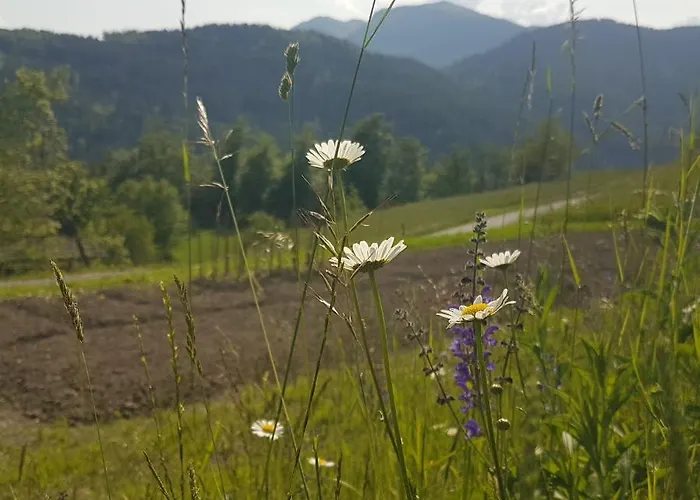 Miklavzeva Hisa With A Bread Oven
