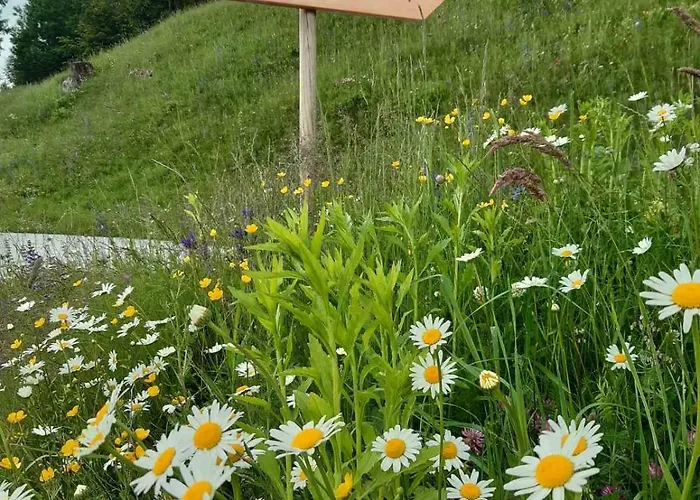 Miklavzeva Hisa With A Bread Oven Vakantiehuis